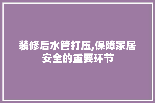 装修后水管打压,保障家居安全的重要环节 地板材料