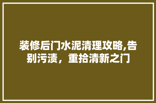 装修后门水泥清理攻略,告别污渍，重拾清新之门
