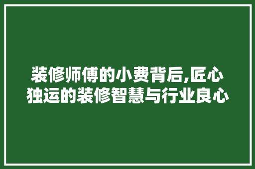 装修师傅的小费背后,匠心独运的装修智慧与行业良心 软装设计