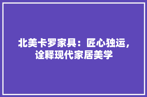 北美卡罗家具：匠心独运，诠释现代家居美学 家居装修