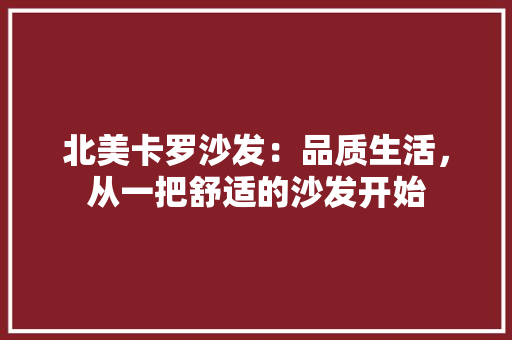 北美卡罗沙发：品质生活，从一把舒适的沙发开始 家居装修