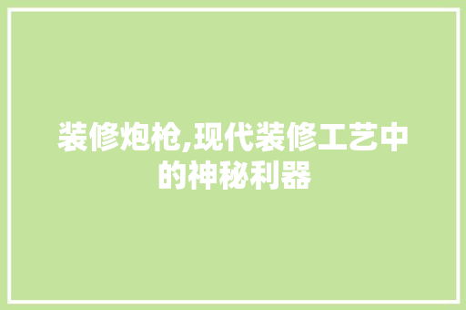 装修炮枪,现代装修工艺中的神秘利器 现代风格装饰