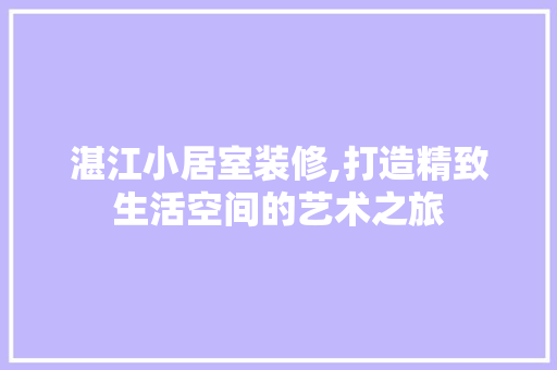 湛江小居室装修,打造精致生活空间的艺术之旅 室内设计
