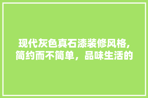 现代灰色真石漆装修风格,简约而不简单，品味生活的艺术