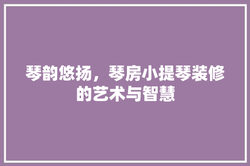 琴韵悠扬，琴房小提琴装修的艺术与智慧