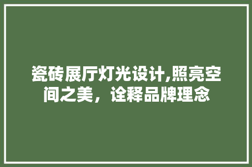 瓷砖展厅灯光设计,照亮空间之美，诠释品牌理念 现代风格装饰
