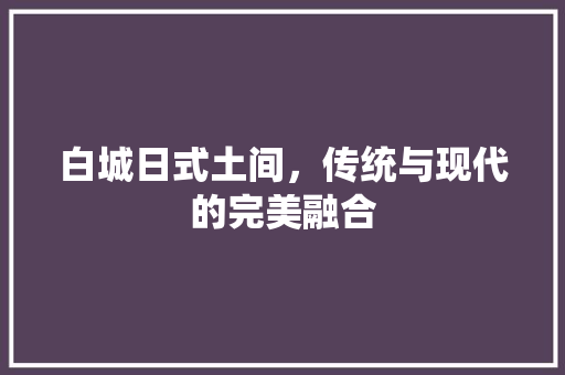 白城日式土间，传统与现代的完美融合 现代风格装饰
