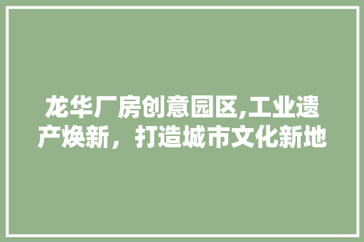 龙华厂房创意园区,工业遗产焕新，打造城市文化新地标 地板材料