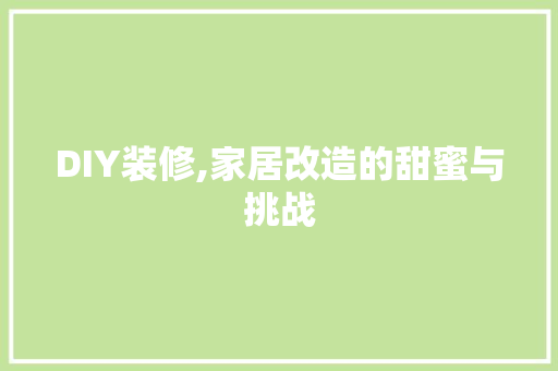 DIY装修,家居改造的甜蜜与挑战 室内设计