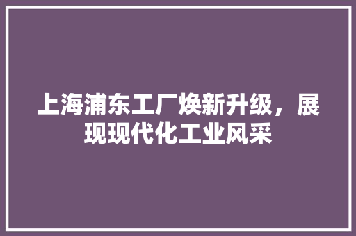 上海浦东工厂焕新升级，展现现代化工业风采 现代风格装饰