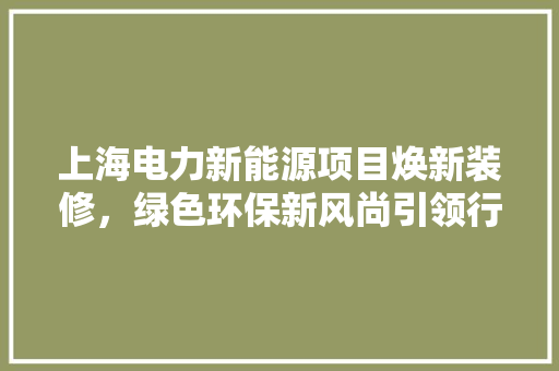 上海电力新能源项目焕新装修，绿色环保新风尚引领行业发展 中式风格装饰