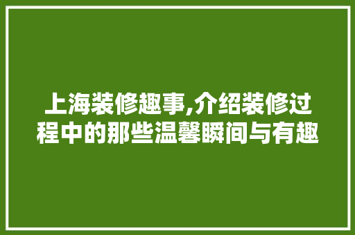 上海装修趣事,介绍装修过程中的那些温馨瞬间与有趣故事 软装设计