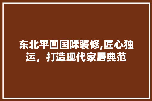 东北平凹国际装修,匠心独运，打造现代家居典范 室内设计