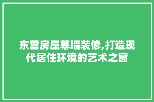 东营房屋幕墙装修,打造现代居住环境的艺术之窗