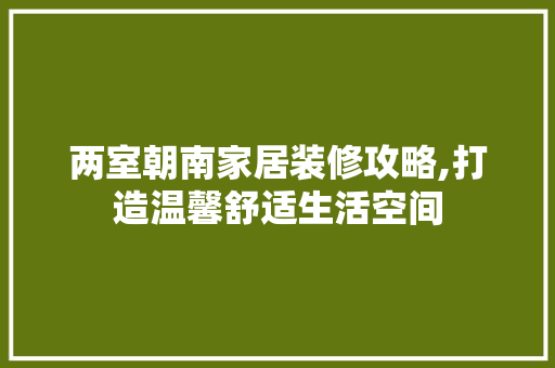 两室朝南家居装修攻略,打造温馨舒适生活空间 地板材料