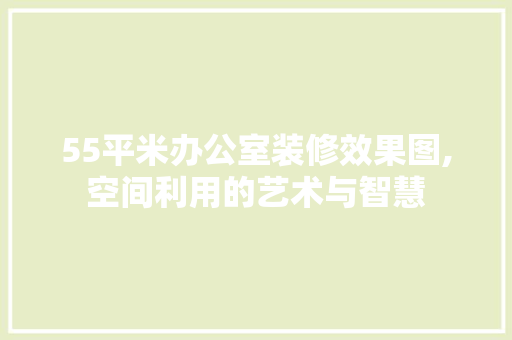 55平米办公室装修效果图,空间利用的艺术与智慧 家居装修