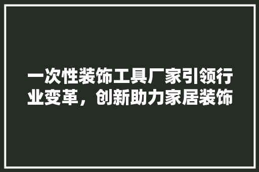 一次性装饰工具厂家引领行业变革，创新助力家居装饰新风尚 现代风格装饰