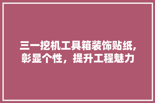 三一挖机工具箱装饰贴纸,彰显个性，提升工程魅力 现代风格装饰