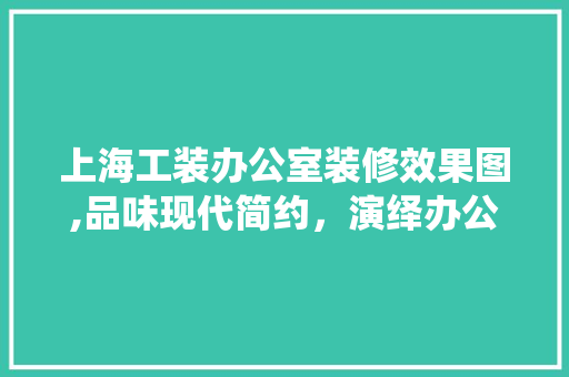 上海工装办公室装修效果图,品味现代简约，演绎办公空间美学 软装设计