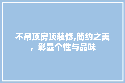 不吊顶房顶装修,简约之美，彰显个性与品味