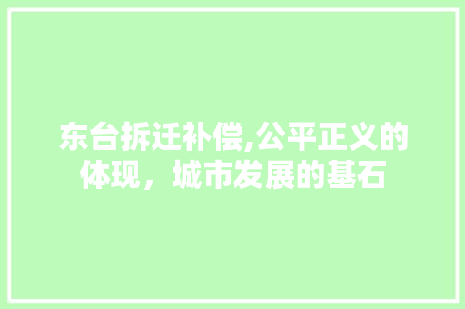 东台拆迁补偿,公平正义的体现，城市发展的基石 中式风格装饰