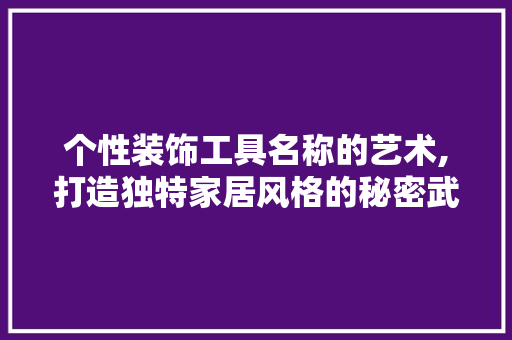 个性装饰工具名称的艺术,打造独特家居风格的秘密武器