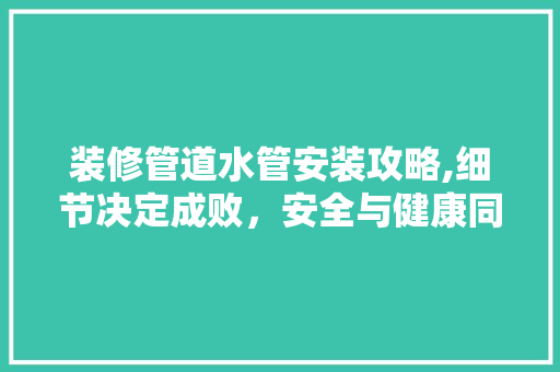 装修管道水管安装攻略,细节决定成败，安全与健康同行 木雕艺术