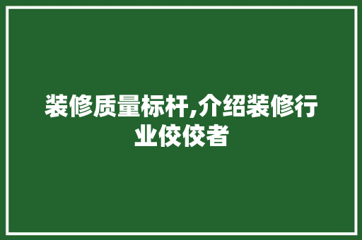 装修质量标杆,介绍装修行业佼佼者