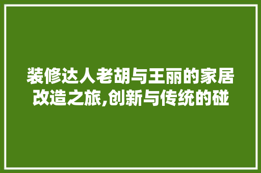 装修达人老胡与王丽的家居改造之旅,创新与传统的碰撞 地板材料