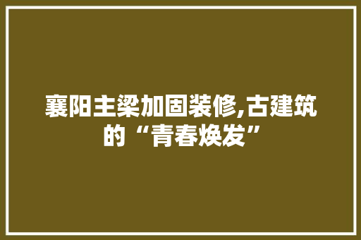 襄阳主梁加固装修,古建筑的“青春焕发” 中式风格装饰