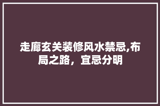 走廊玄关装修风水禁忌,布局之路，宜忌分明 现代风格装饰