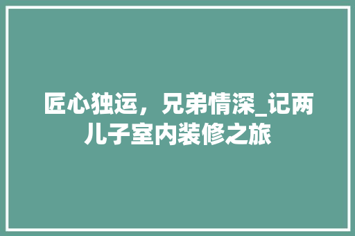 匠心独运，兄弟情深_记两儿子室内装修之旅