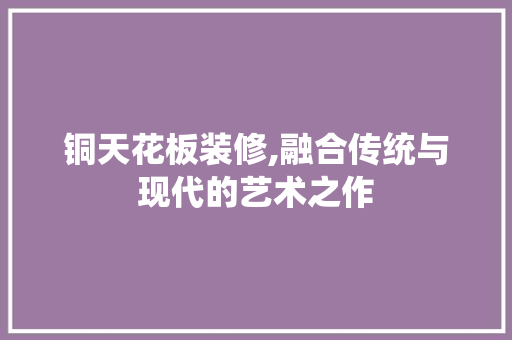 铜天花板装修,融合传统与现代的艺术之作