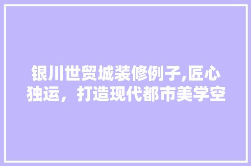 银川世贸城装修例子,匠心独运，打造现代都市美学空间