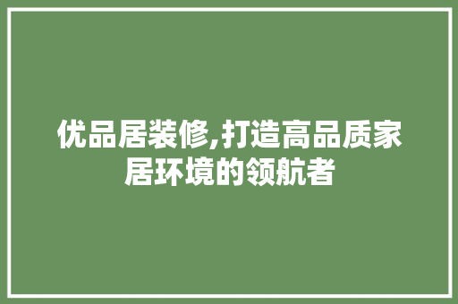优品居装修,打造高品质家居环境的领航者 客厅装修