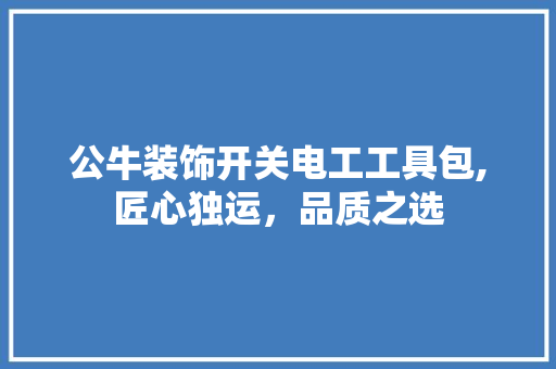 公牛装饰开关电工工具包,匠心独运，品质之选