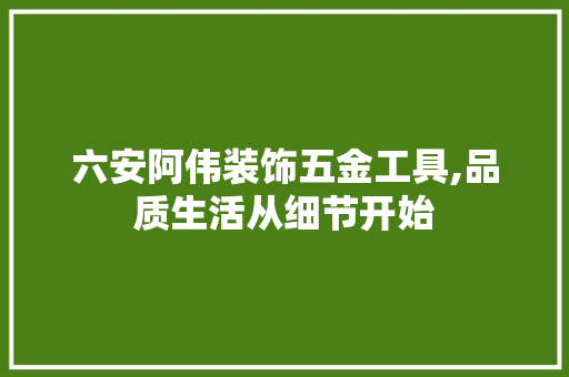 六安阿伟装饰五金工具,品质生活从细节开始 地板材料