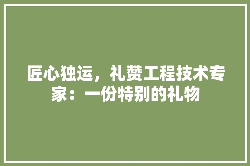 匠心独运，礼赞工程技术专家：一份特别的礼物 家居装修