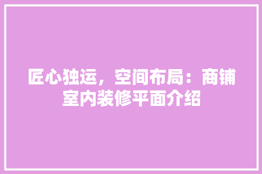 匠心独运，空间布局：商铺室内装修平面介绍 家居装修