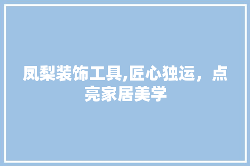 凤梨装饰工具,匠心独运，点亮家居美学 室内设计