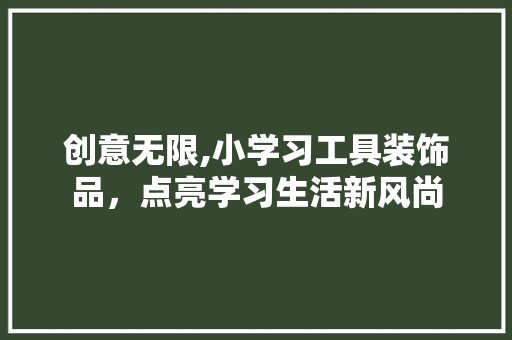 创意无限,小学习工具装饰品，点亮学习生活新风尚