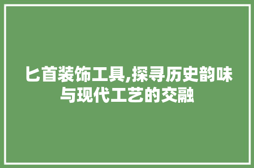 匕首装饰工具,探寻历史韵味与现代工艺的交融 中式风格装饰