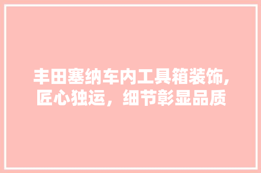 丰田塞纳车内工具箱装饰,匠心独运，细节彰显品质 现代风格装饰