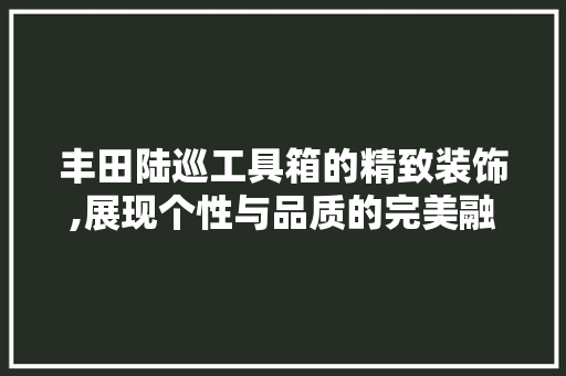 丰田陆巡工具箱的精致装饰,展现个性与品质的完美融合 地板材料
