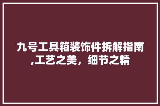 九号工具箱装饰件拆解指南,工艺之美，细节之精
