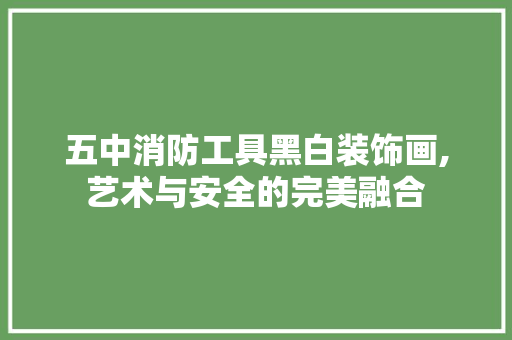 五中消防工具黑白装饰画,艺术与安全的完美融合