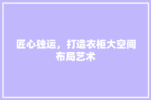 匠心独运，打造衣柜大空间布局艺术