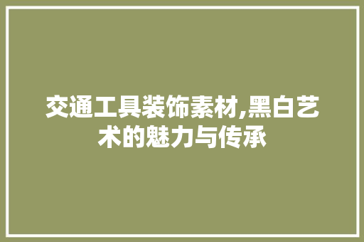 交通工具装饰素材,黑白艺术的魅力与传承 地板材料