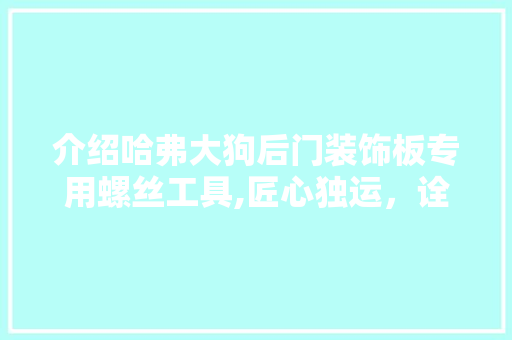 介绍哈弗大狗后门装饰板专用螺丝工具,匠心独运，诠释汽车制造精粹 中式风格装饰