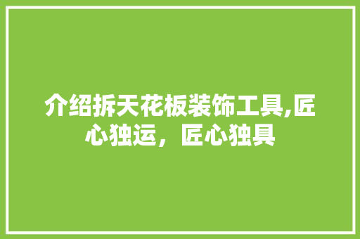 介绍拆天花板装饰工具,匠心独运，匠心独具 中式风格装饰